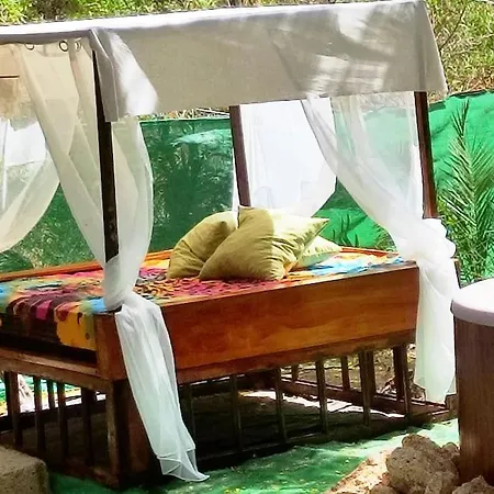 Romantico Stile Canario. Spa&relax 펜션 그라나딜라데아보나
